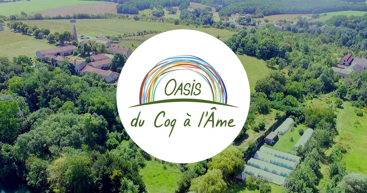 Histoire Du Projet Oasis Du Coq L me histoire-du-projet-oasis-du-coq-l-me