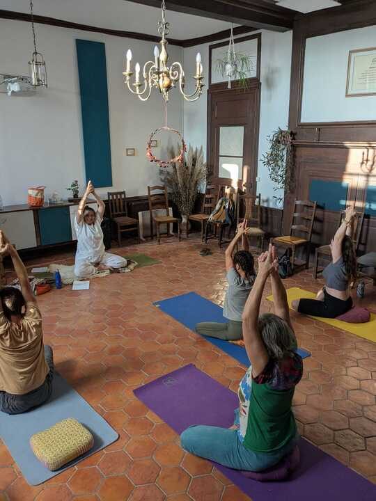 Cours de yoga en plein air dans la forêt.