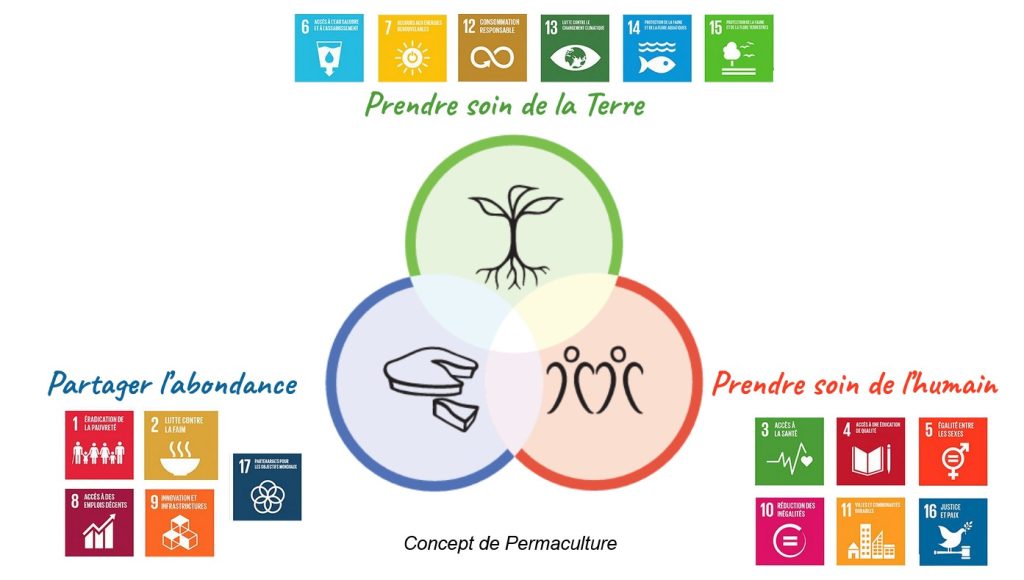 Schéma des principes de la permaculture avec ODD.